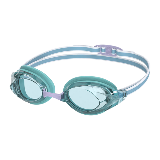 Goggle Vanquisher 3.0 Speedo